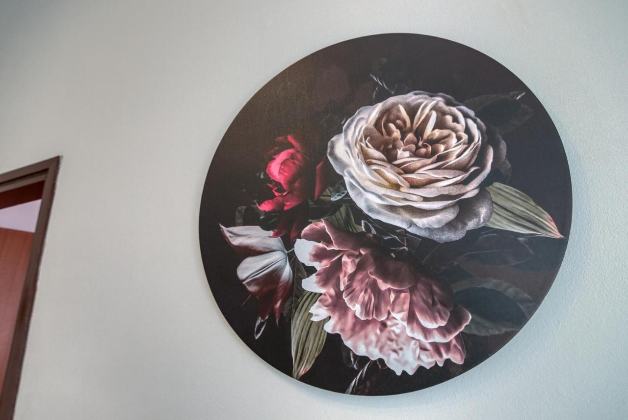 Apartment Ljube Pula Dış mekan fotoğraf